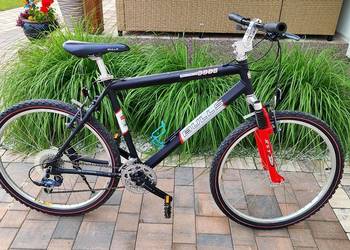 Rower BULLS 26"