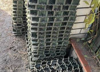 Geokratka Kratka trawnikowa ogrodowa