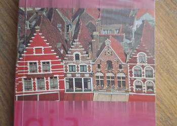 Belgia i Luksemburg Pascal praktyczny przewodnik