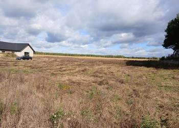 Działka budowlana z WZ, 1400 m² ,Ujeździec Mały - Trzebnica (99 zł/m²)