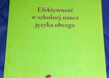 Efektywność w szkolnej nauce języka obcego - Jerzy Zybert
