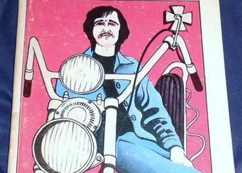 Podzwonne dla Sowy. Opowiadania z naszego podwórka - Hetmann Podzwonne dla Sowy. Opowiadania z naszego podwórka - Hetmann