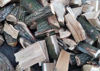 Drewno kominkowe