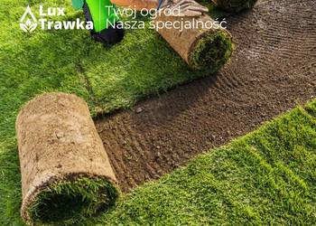 Trawa w rolce | Dostawa na terenie całej małopolski