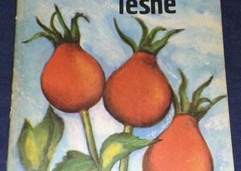 Jadalne owoce leśne - Wiesław Grochowski