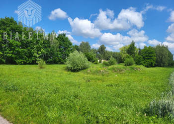 Działka do sprzedania Elżbietów 6400m2