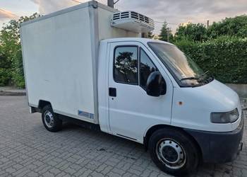 Citroën jumper 2.5d chłodnia izoterma kontener sprawny agregat 230v