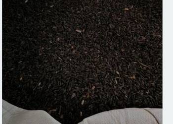 Sprzedam groch, słonecznik