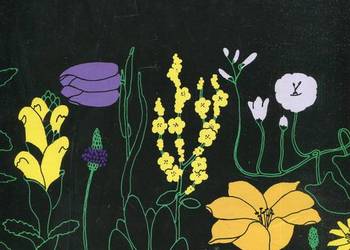 Świat roślin skał i minerałów Świat roślin skał i minerałów