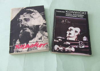 Znachor Mostowicz + Rzeka podziemna, podziemne ptaki Konwicki
