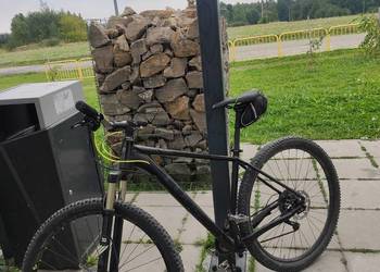 MTB Cube Limited SL 29