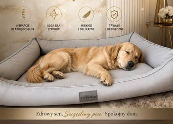 Asortyment do sklepu zoologicznego Kamyk