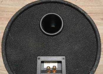 Tuba samochodowa Blaupunkt GTt 1200  DE gratis gra na playstation  2