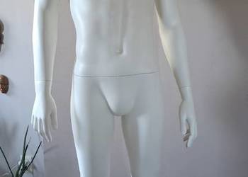 Manekin męski solidny