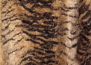 Sweter w tygrysi wzór