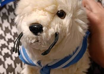 foka Dąbki zabawka pluszowa maskotka pluszak