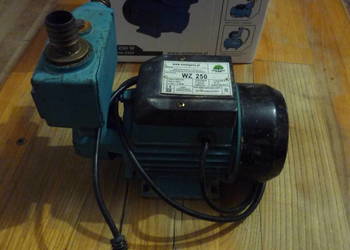 pompa do wody hydroforu podlewania hydroforowa powierzchniowa WZ 250 230V