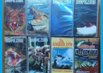 Kasety VHS / Drapieżniki / Na ścieżkach życia/ Pasja wędkowania/ VHS/ kaset