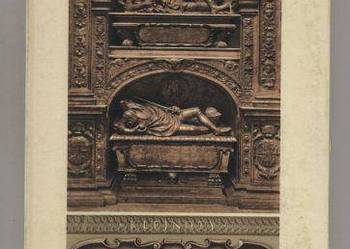 Kaplica Zygmuntowska - Bochnak