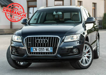 Audi Q5 SQ5 3.0TDI 245KM ! S-Line Plus ! Full Opcja ! Opłacona ! 8R (2008-…