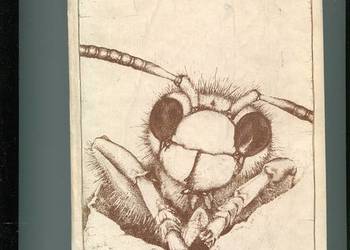 Życie owadów - Vincent Wigglesworth