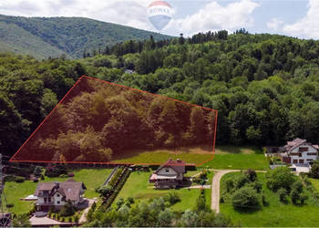 Najwyższa działka pod Czantorią – dom w lesie