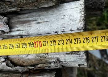 Stemple budowlane drewniane