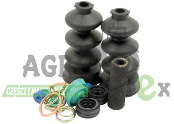 81869958, F1NN2004AA, 81869661, FP573 ZESTAW NAPRAWCZY CNH