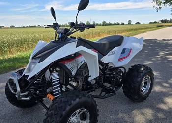Quad Egl Mad Max 250cc kat B 2014r ciecz duża rama zarejestrowany!