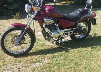 Chopper rex 125