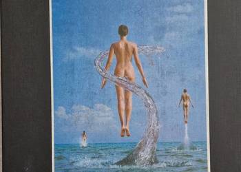 Box Set  Pink Floyd „Shine On”