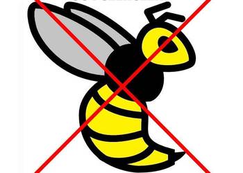 Usuwanie gniazd os i szerszeni, Biała Podlaska powiat bialski Usuwanie gniazd os i szerszeni, Biała Podlaska powiat bialski