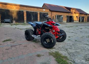 Yamaha blaster 200