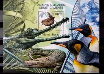 Gwinea Bissau ( ptak)