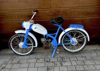 Romet komar sztywniak