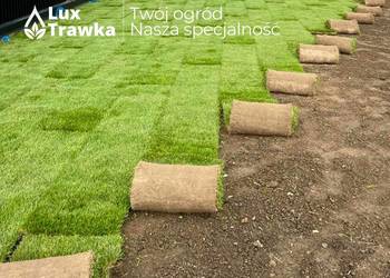 Trawa w rolce | Trawa z rolki | Dostawa na terenie całej małopolski