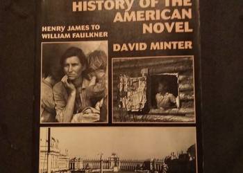 A cultural history of the American novel