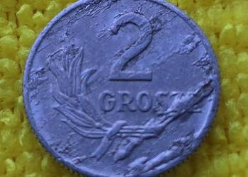 Moneta 2 grosze z 1949 roku - oryginalny stan zachowania