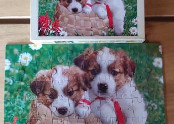 Puzzle Szczeniaczki w koszyku Axel 4 lat 60 elementów