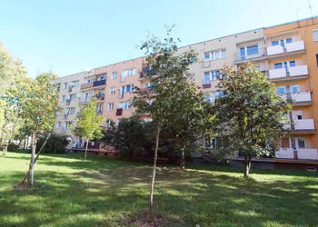 Sprzedaż mieszk.2-pok. +balkon I piętro niski blok