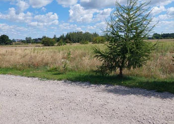 Oferta sprzedaży działki 1323m2 Rozalin