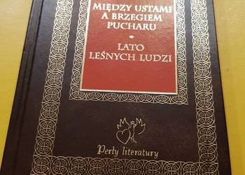 między ustami a brzegiem pucharu lato leśnych ludzi