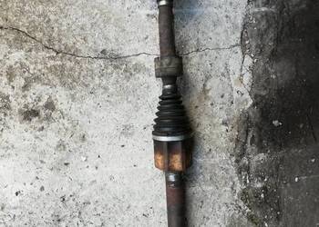 Polos prawa kuga 08-12