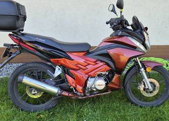 Inca x-one /zipp shock   50/70