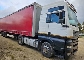 Wielton coilmulda suwany dach