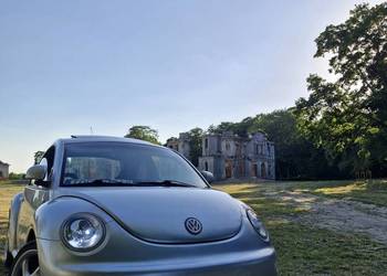 Volkswagen New Beetle 1.9tdi 90km