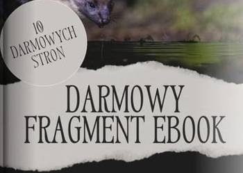 Darmowy fragment e-booka: Jak skutecznie pozbyć się kuny z domu i strychu
