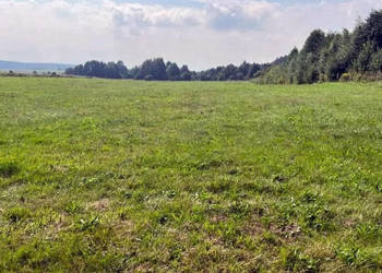 Oferta sprzedaży gruntu 2533m2 Wasilków