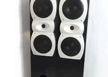 Kolumny Podłogowe CAT MBC 300 – 180W | 3-Drożne | Bass-Reflex