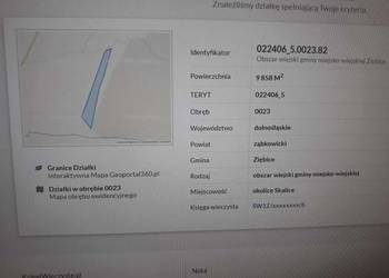 Oddam w dzierżawę łąkę